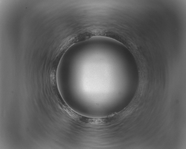 X0000077400288200610272047