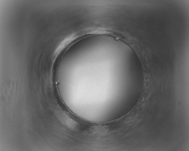 X0000077400296200610272046