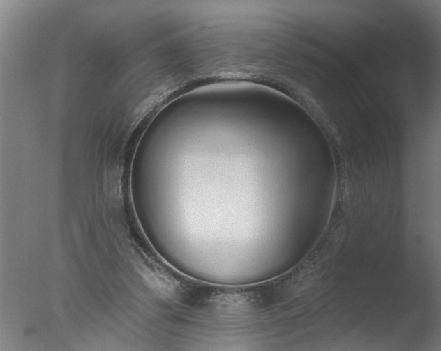 X0000077400299200610272046
