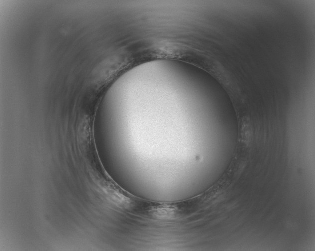 X0000077400318200610272045