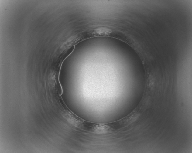 X0000077400321200610272045