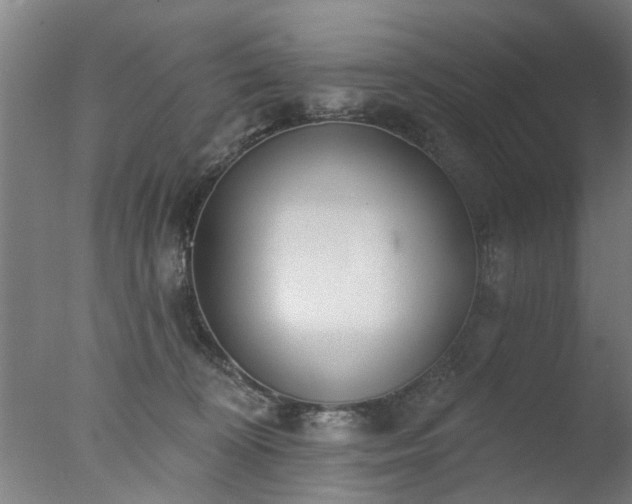 X0000077400324200610272045