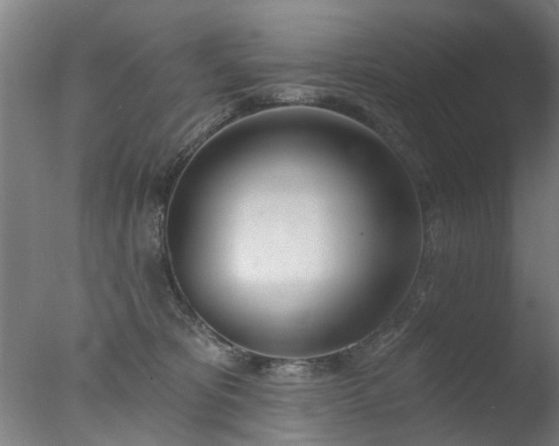 X0000077400325200610272045