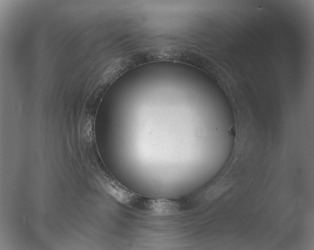 X0000077400336200610272045
