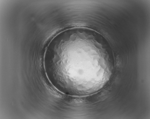 X0000077400351200610272045