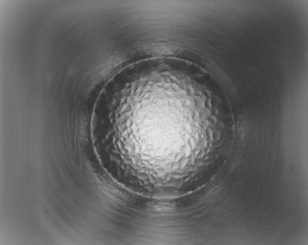 X0000077400359200610272045