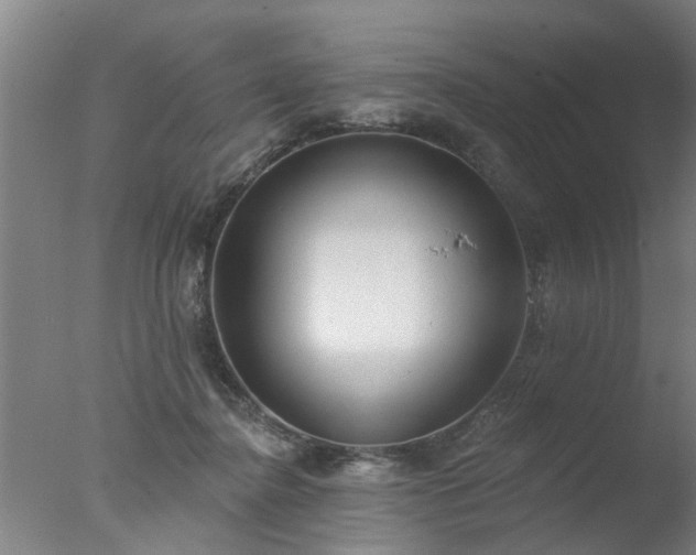 X0000077400364200610272045