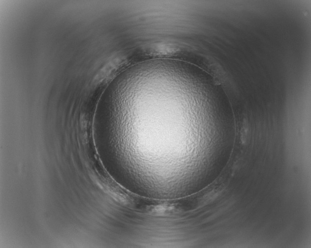 X0000077400366200610272045