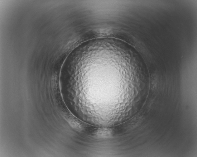 X0000077400369200610272045