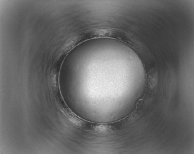 X0000077400375200610272045