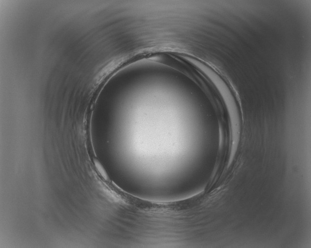 X0000077400389200610272044