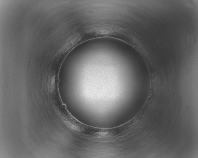 X0000077400406200610272044