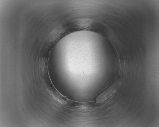 X0000077400412200610272044