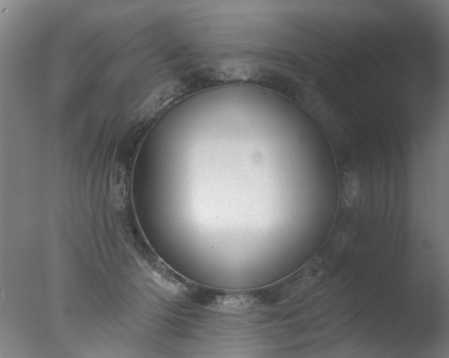 X0000077400414200610272044