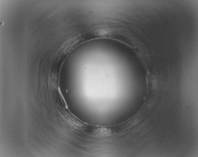 X0000077400421200610272044