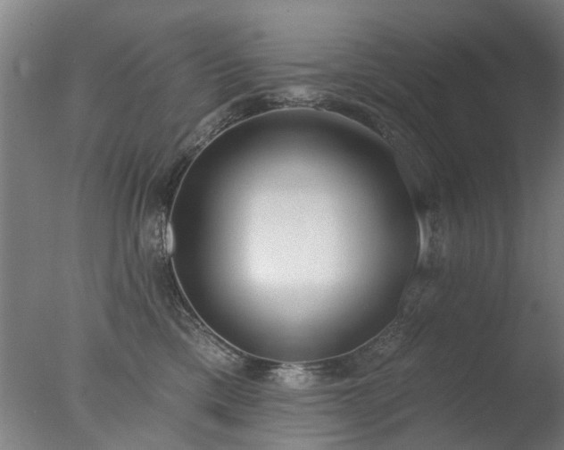 X0000077400425200610272044
