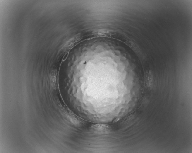 X0000077400427200610272044