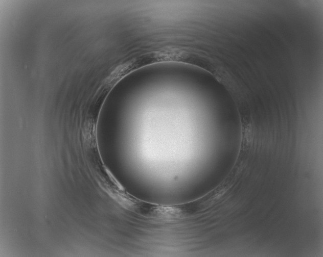X0000077400429200610272044