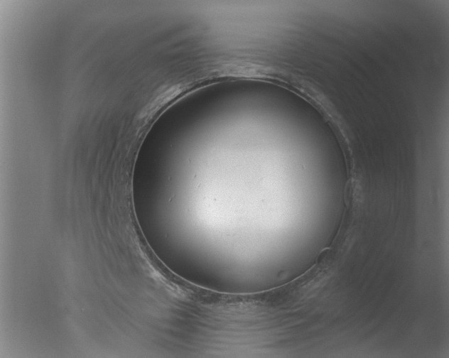 X0000077400433200610272043