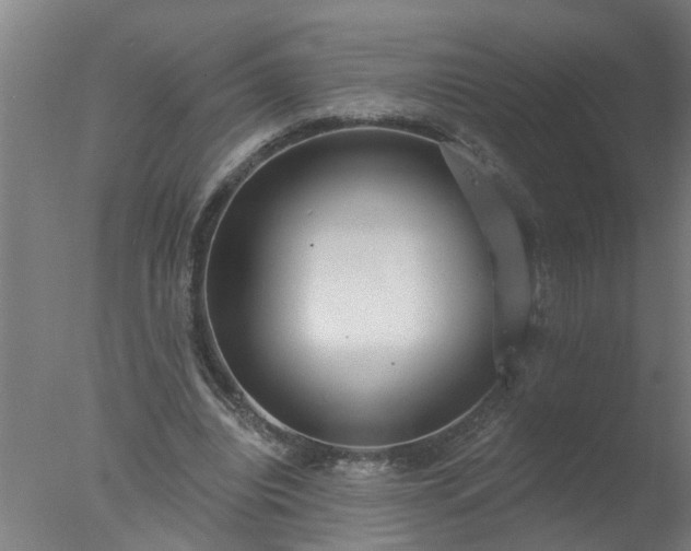 X0000077400440200610272043