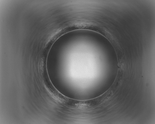 X0000077400448200610272043