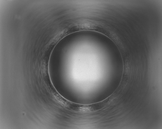 X0000077400457200610272043