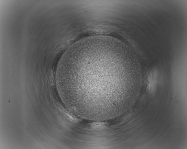 X0000077400465200610272043