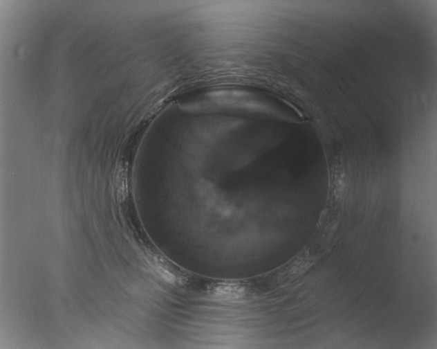 X0000077400471200610272043