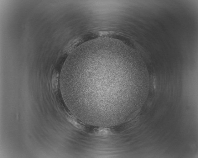 X0000077400475200610272043