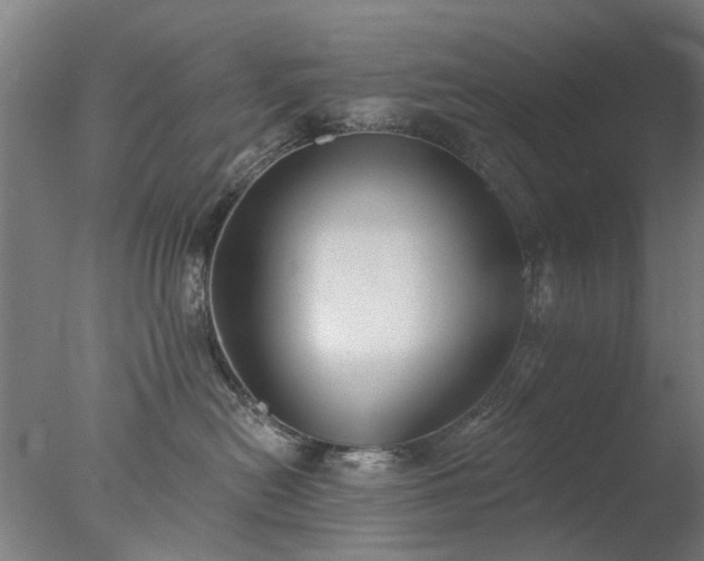 X0000077400478200610272043
