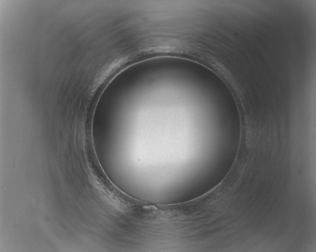 X0000077400482200610272043