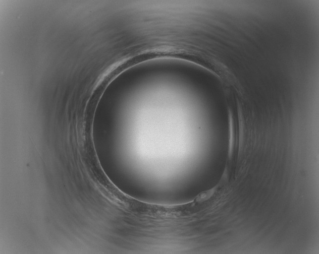 X0000077400484200610272043