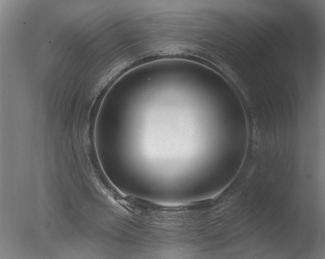 X0000077400485200610272043