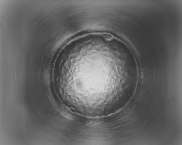 X0000077400487200610272043