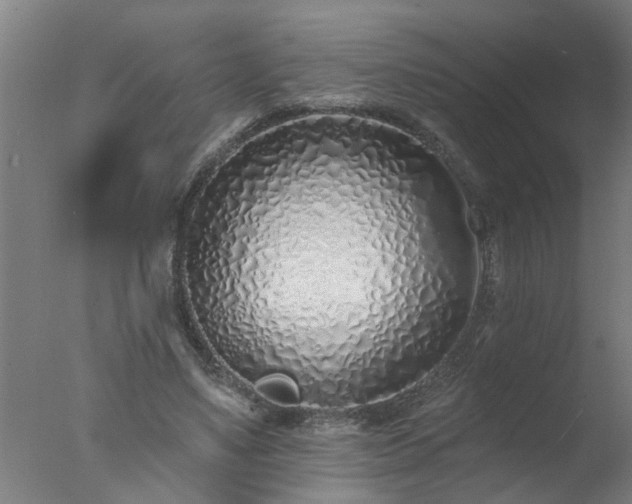 X0000077400491200610272042