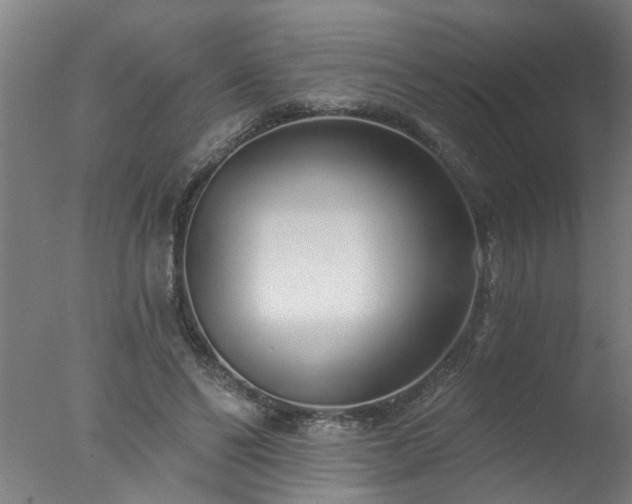 X0000077400494200610272042