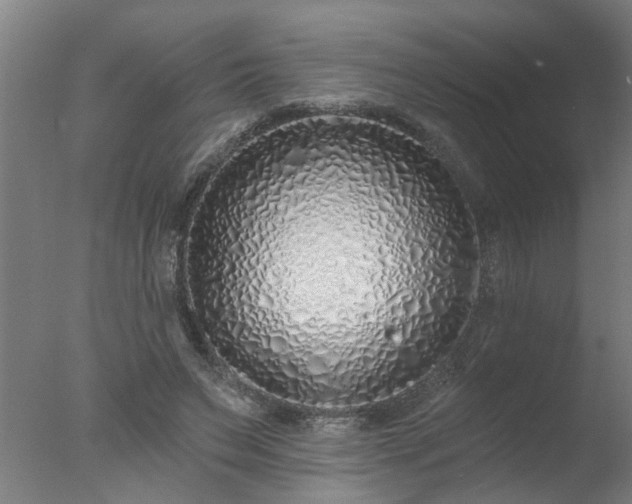 X0000077400495200610272042