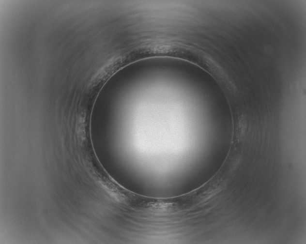 X0000077400497200610272042
