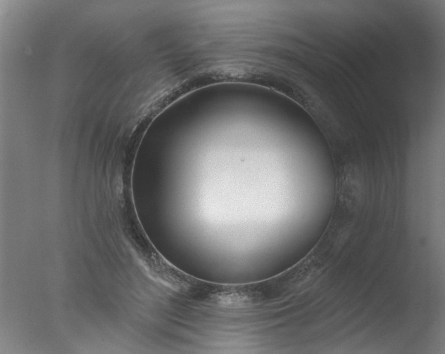 X0000077400500200610272042