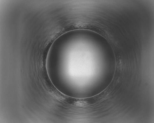 X0000077400508200610272042