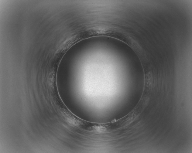 X0000077400509200610272042