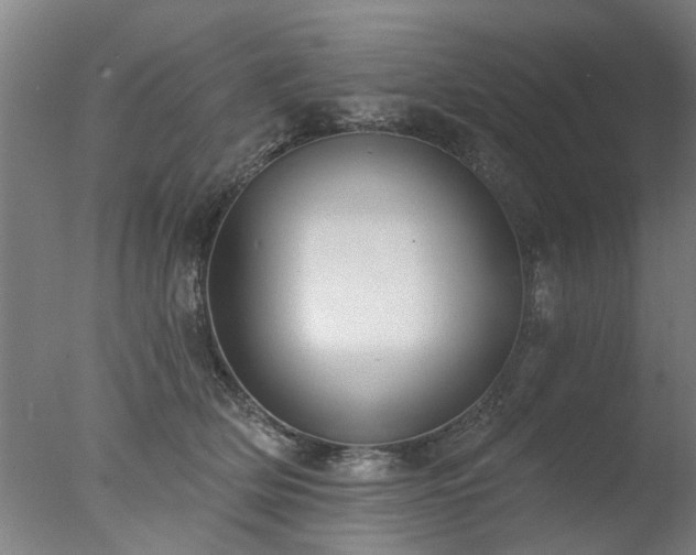 X0000077400514200610272042