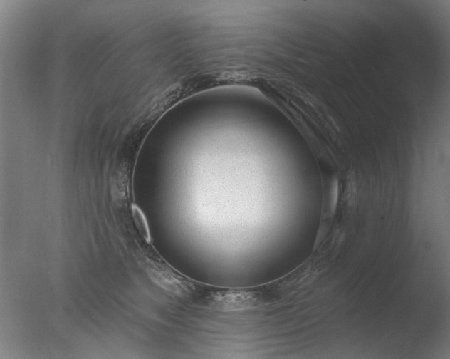 X0000077400517200610272042