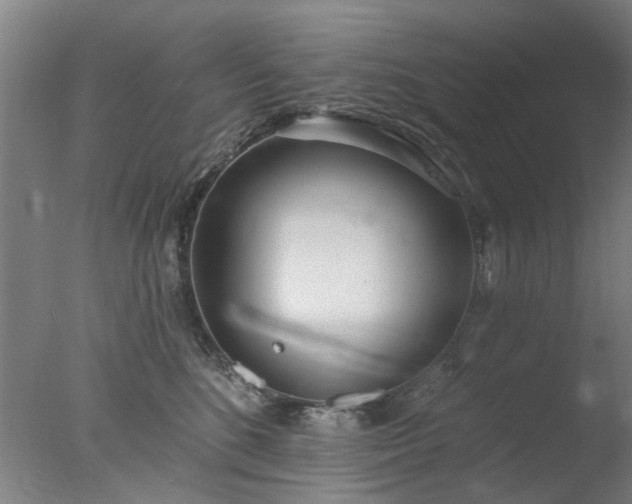 X0000077400520200610272042