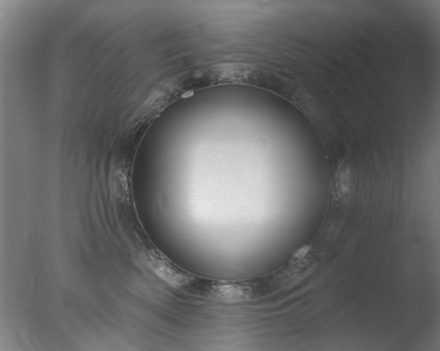 X0000077400522200610272042