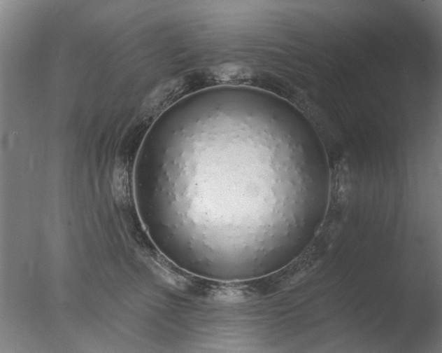 X0000077400523200610272042