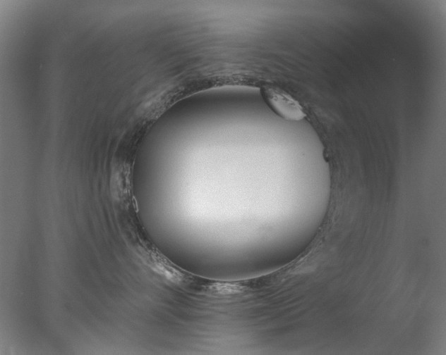 X0000077400528200610272042