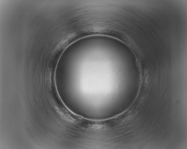 X0000077400542200610272041