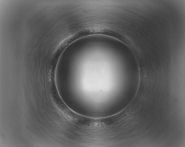 X0000077400543200610272041