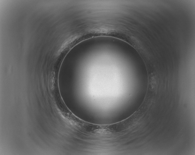 X0000077400544200610272041